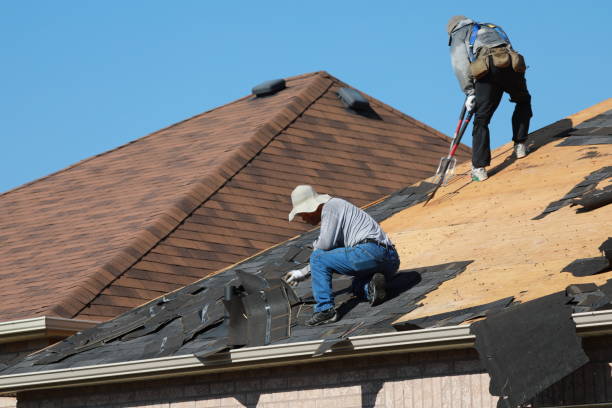 Best Roof Insulation Installation  in Center Point, AL